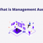 Management Audit