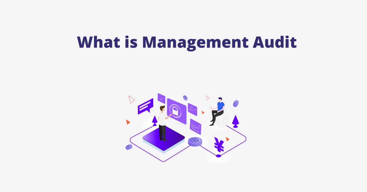 Management audit blog chartered accountant in india